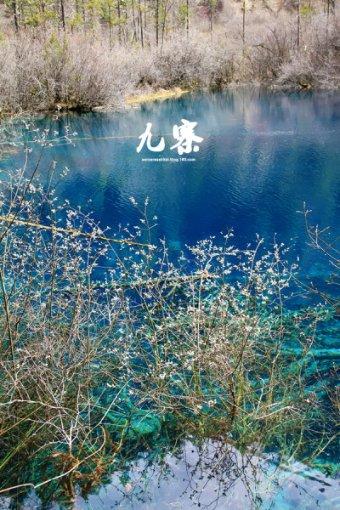 救援小棕兔